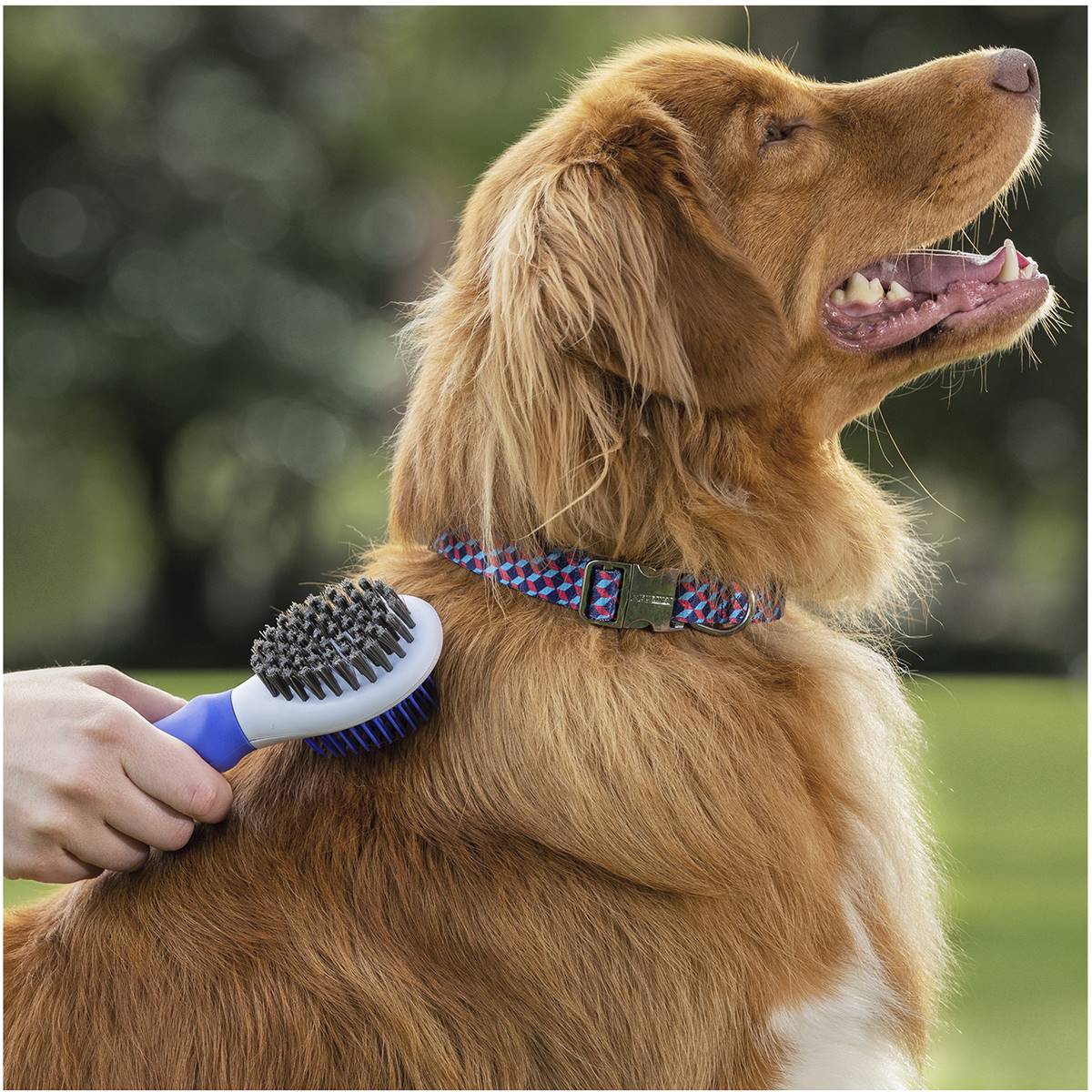 Purina Totalcare Brush & Shine 2in1 For Dogs Each Woolworths