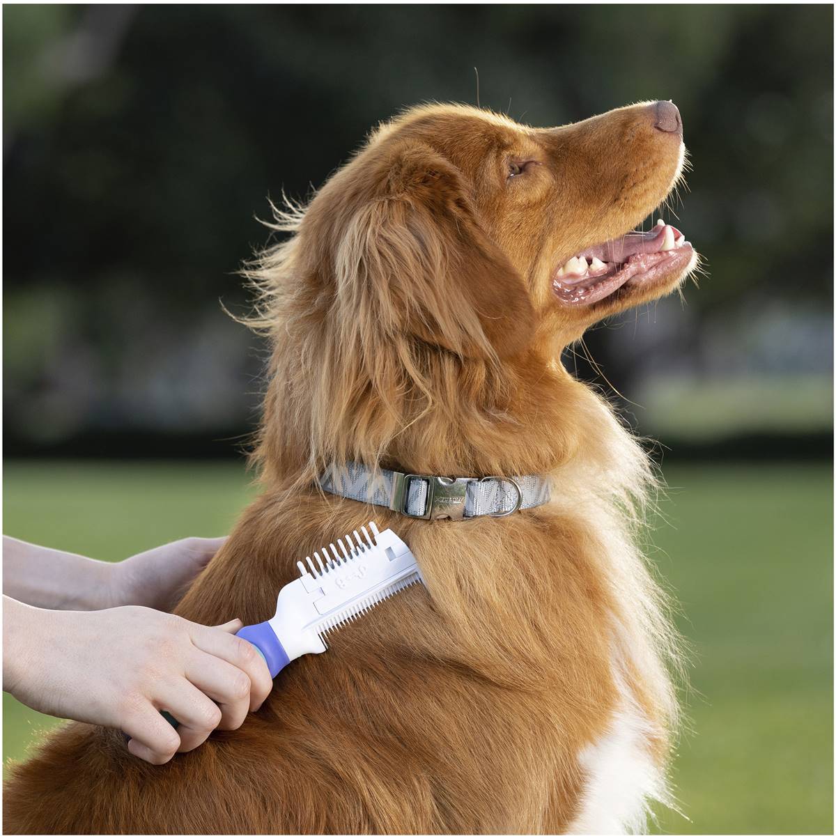 Purina Totalcare Knot Remover & Flea Comb 2in1 For Dogs Each Woolworths