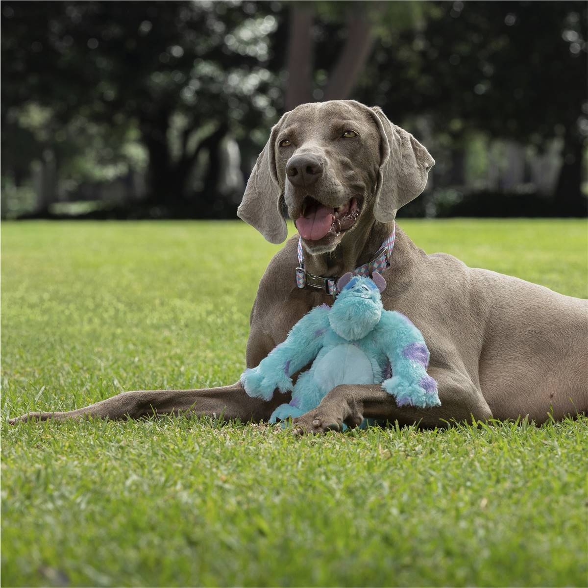 Purina Pixar Sulley Plush Dog Toy Each Woolworths