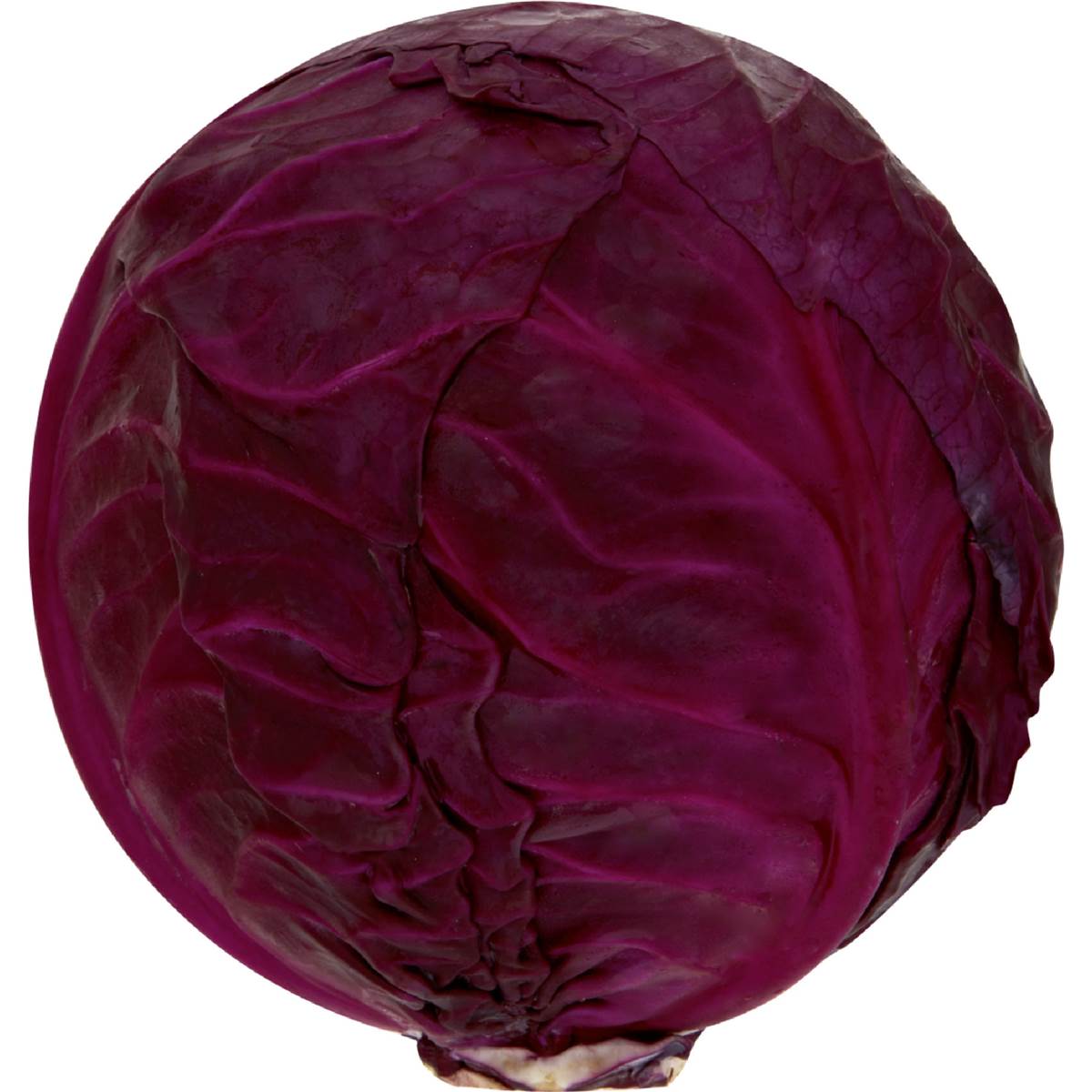 Cabbage Red Whole Each Woolworths