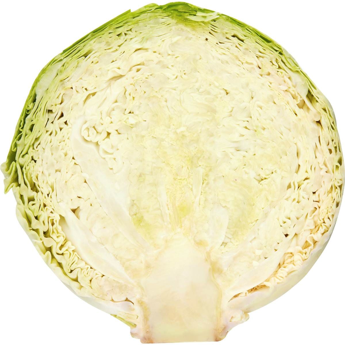 Cabbage Savoy Half Each Woolworths