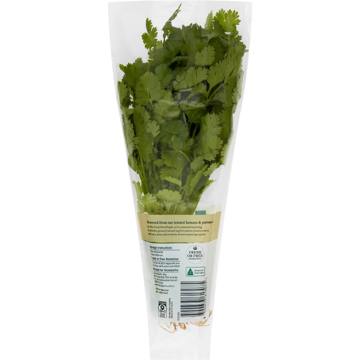 Coriander Fresh Herb bunch Woolworths