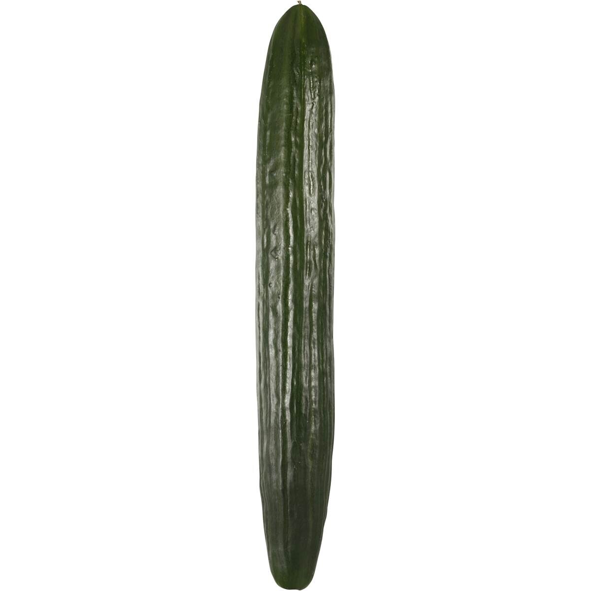 Cucumber Continental each Woolworths