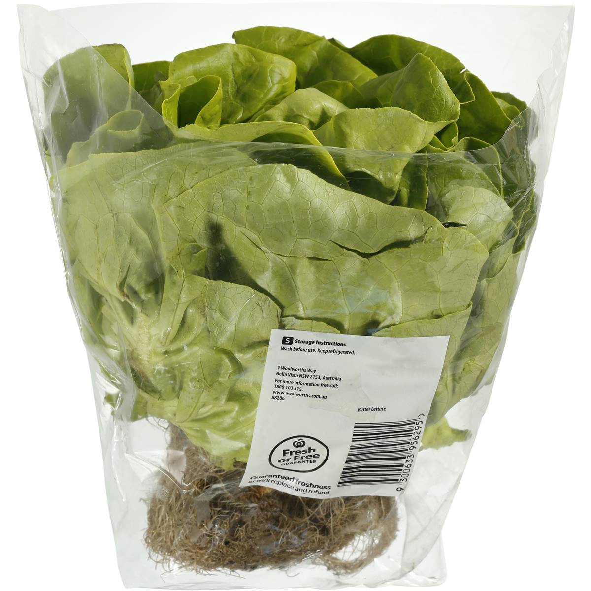 Select Lettuce Butter Each Woolworths