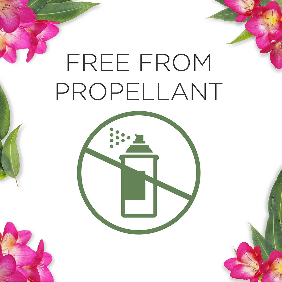 Airwick Odour Neutralising Spray Eucalyptus & Freesia 236ml Woolworths