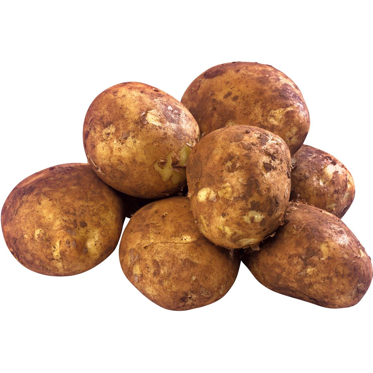 Potato Kennebec Brushed Each Woolworths