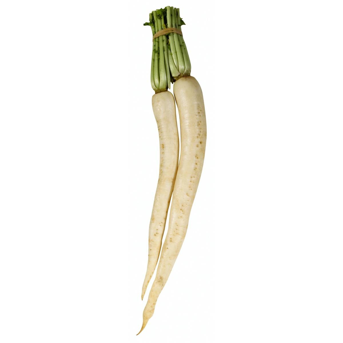 Radish White