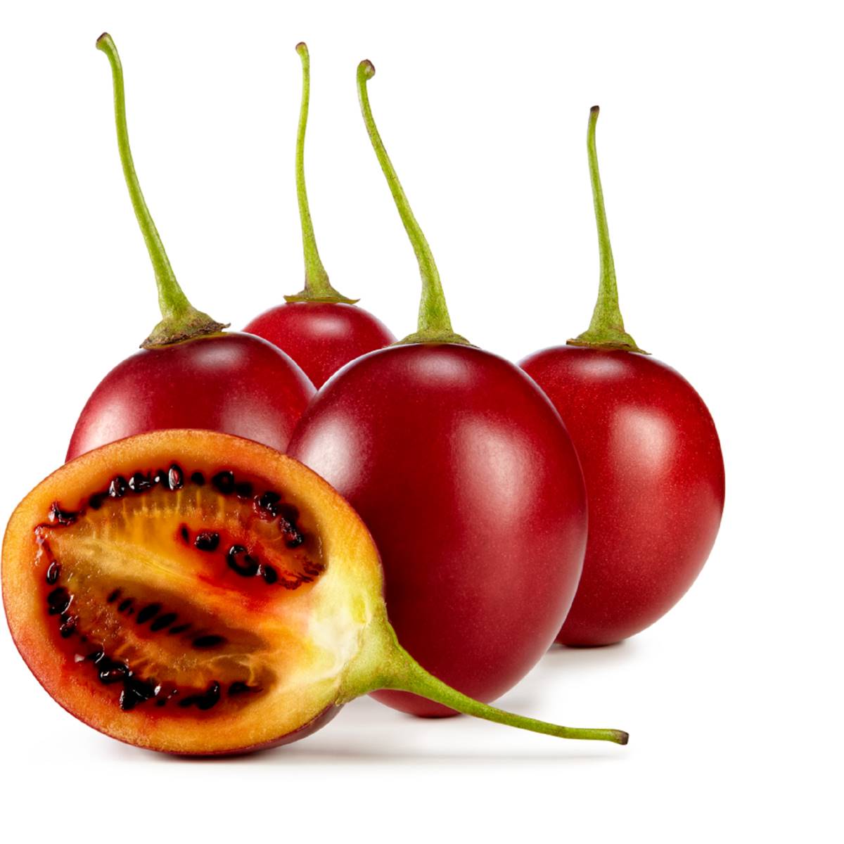 Tamarillo Red