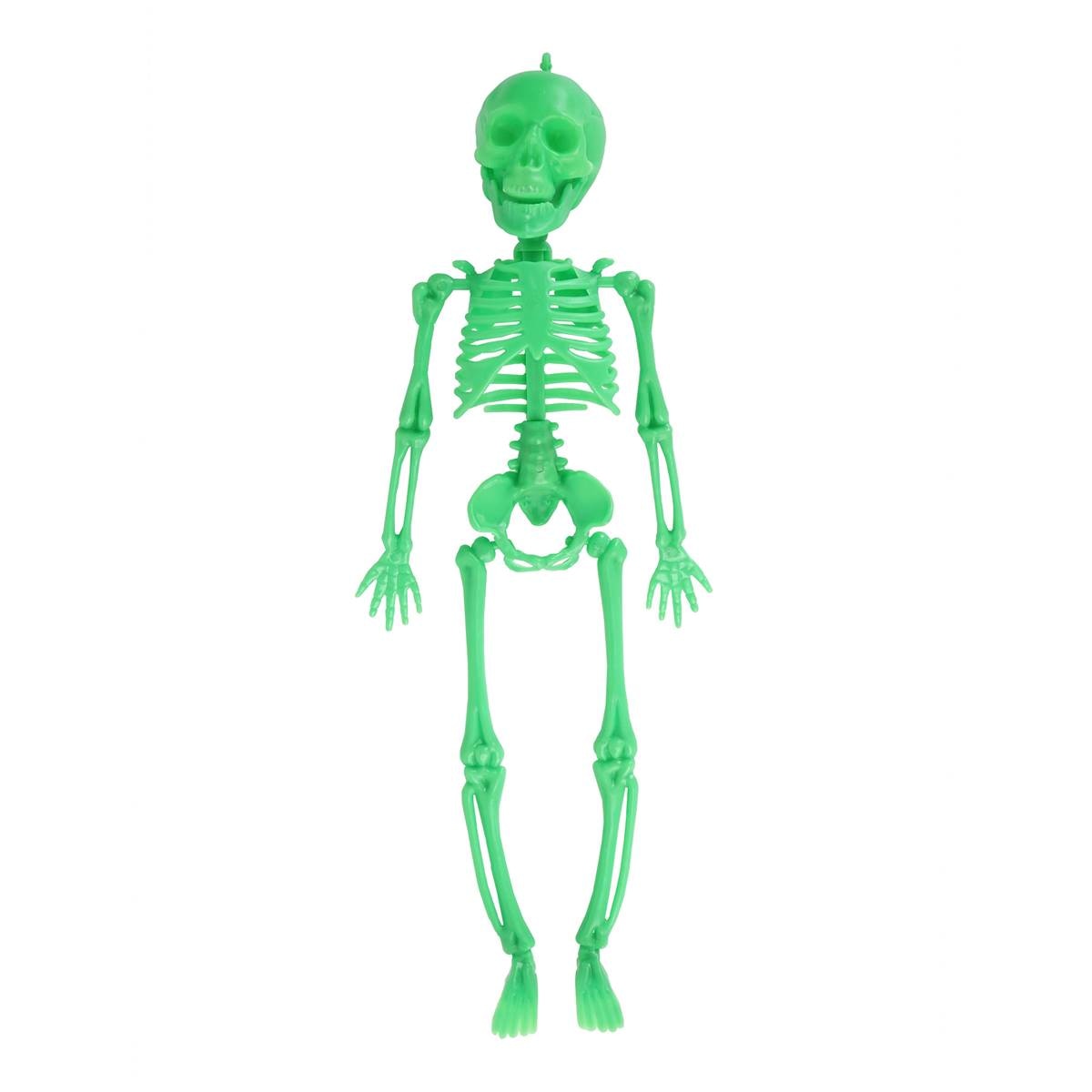 halloween-small-hanging-skeleton-green-each-woolworths