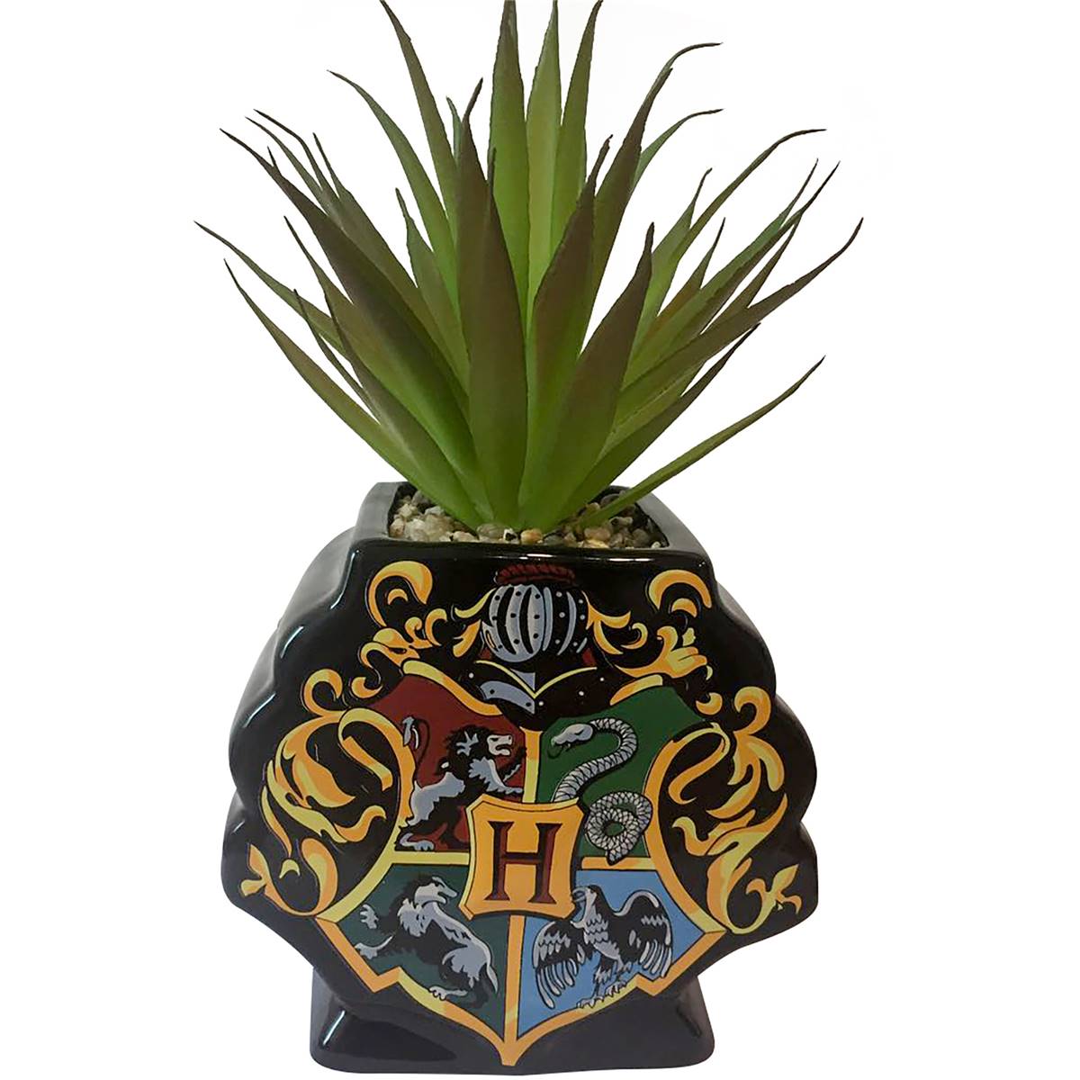 Harry Potter Pot Plant Each Woolworths
