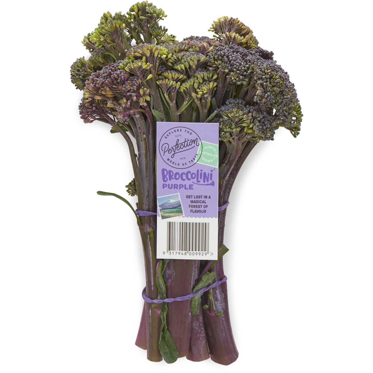 Broccolini ubicaciondepersonas.cdmx.gob.mx