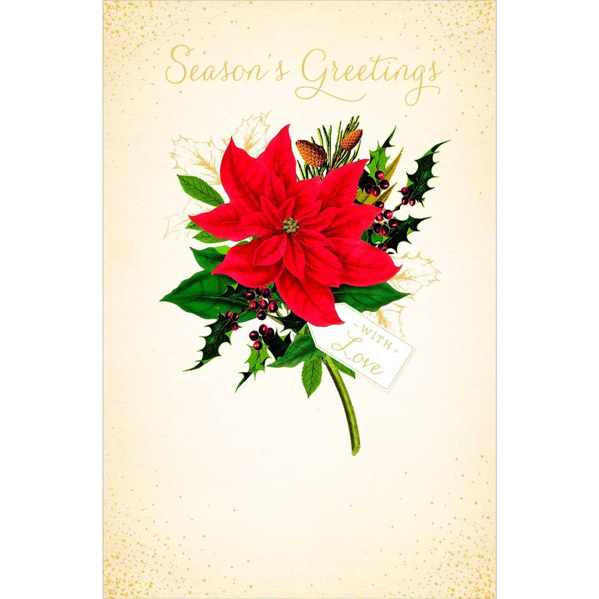 john-sands-christmas-card-royal-horticultural-society-each-woolworths