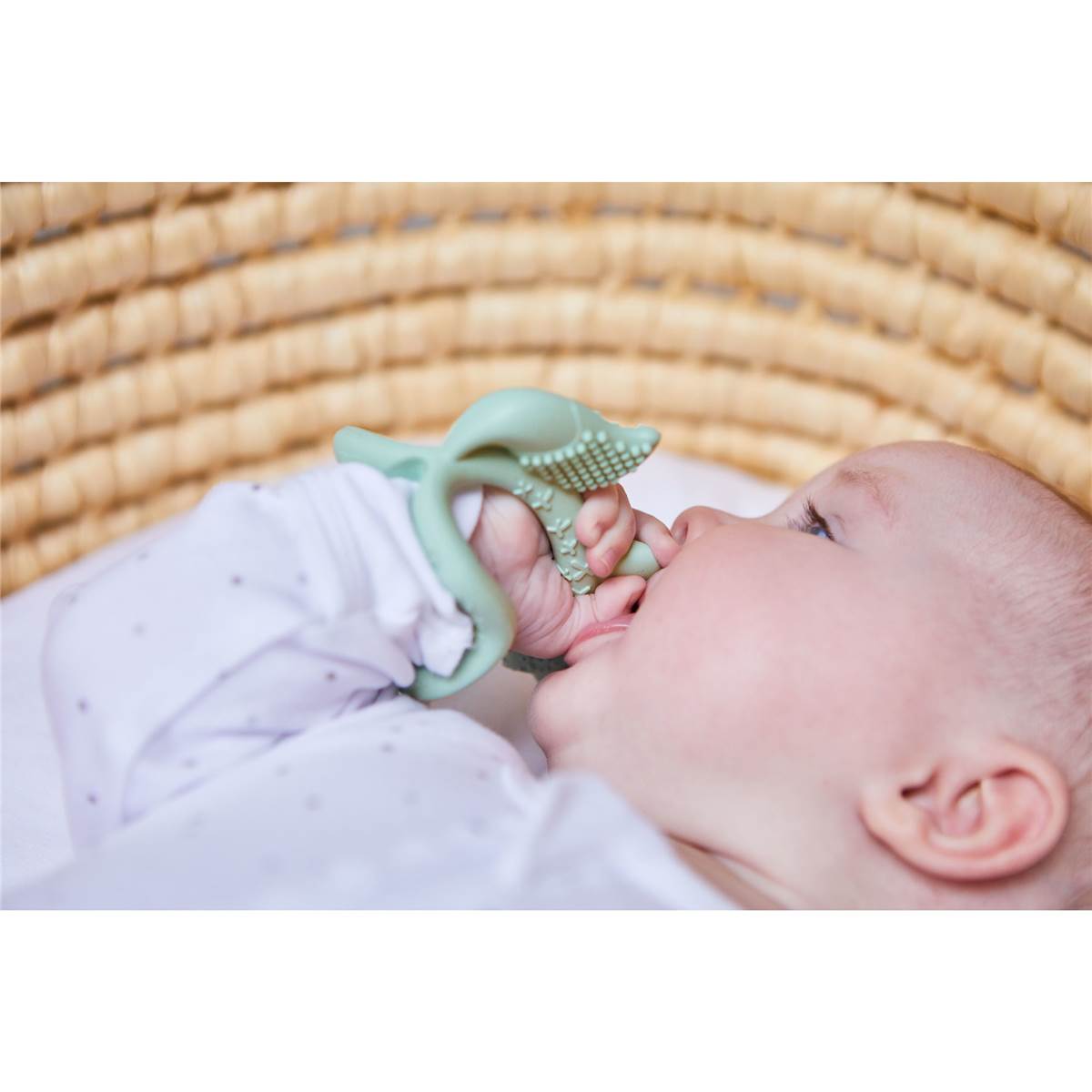 B.box Wrist Teether Assorted Each Woolworths