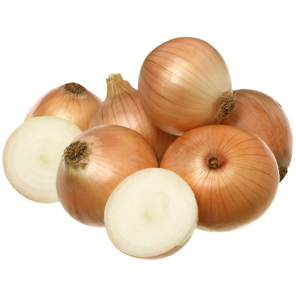 Onion Brown
