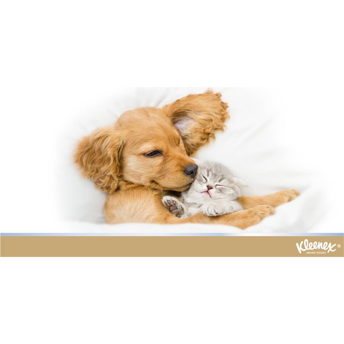 Kleenex Large & Thick 3 Ply Facial Tissues 95 Pack Woolworths