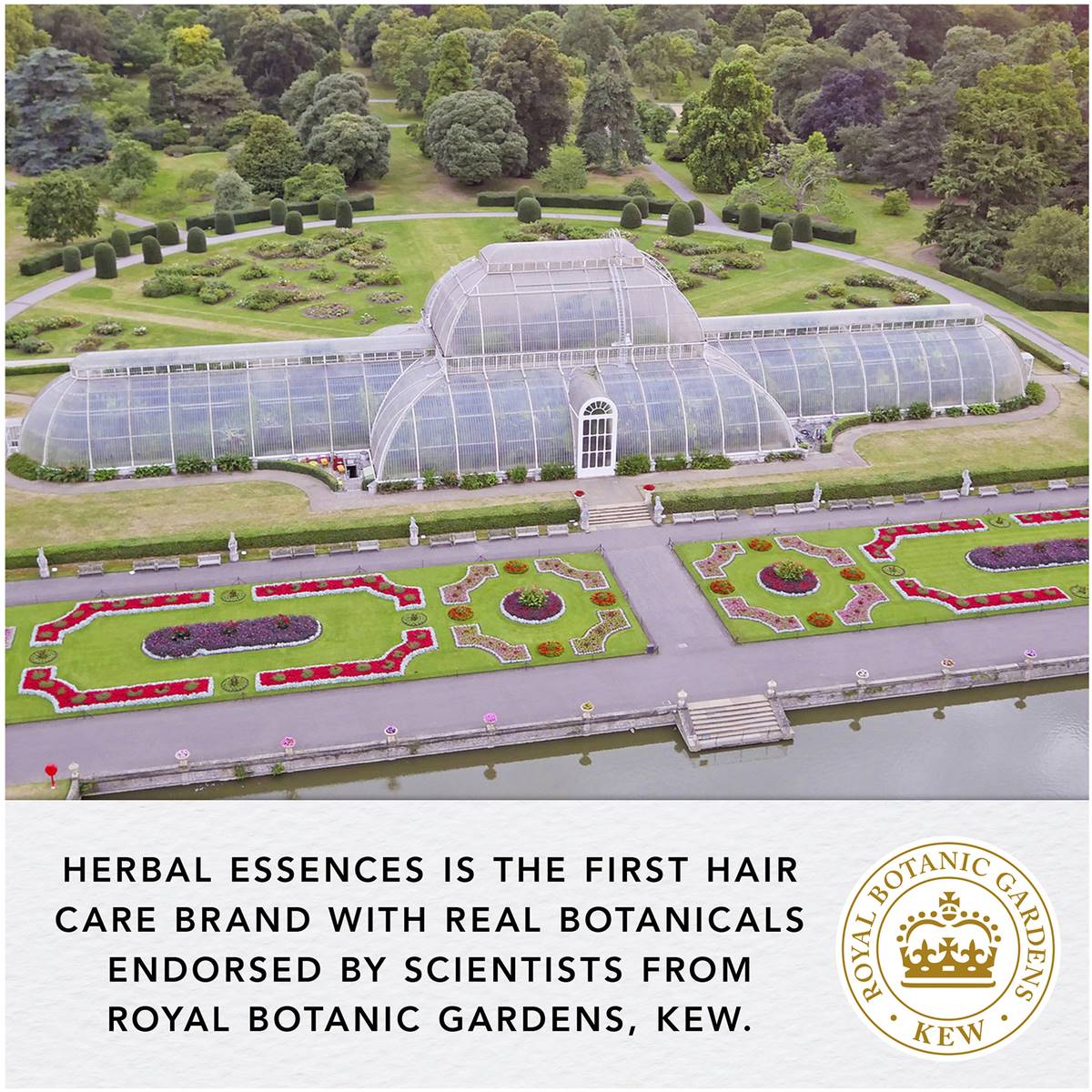 Herbal Essences Potent Aloe & Manuka Honey Conditioner 350ml Woolworths