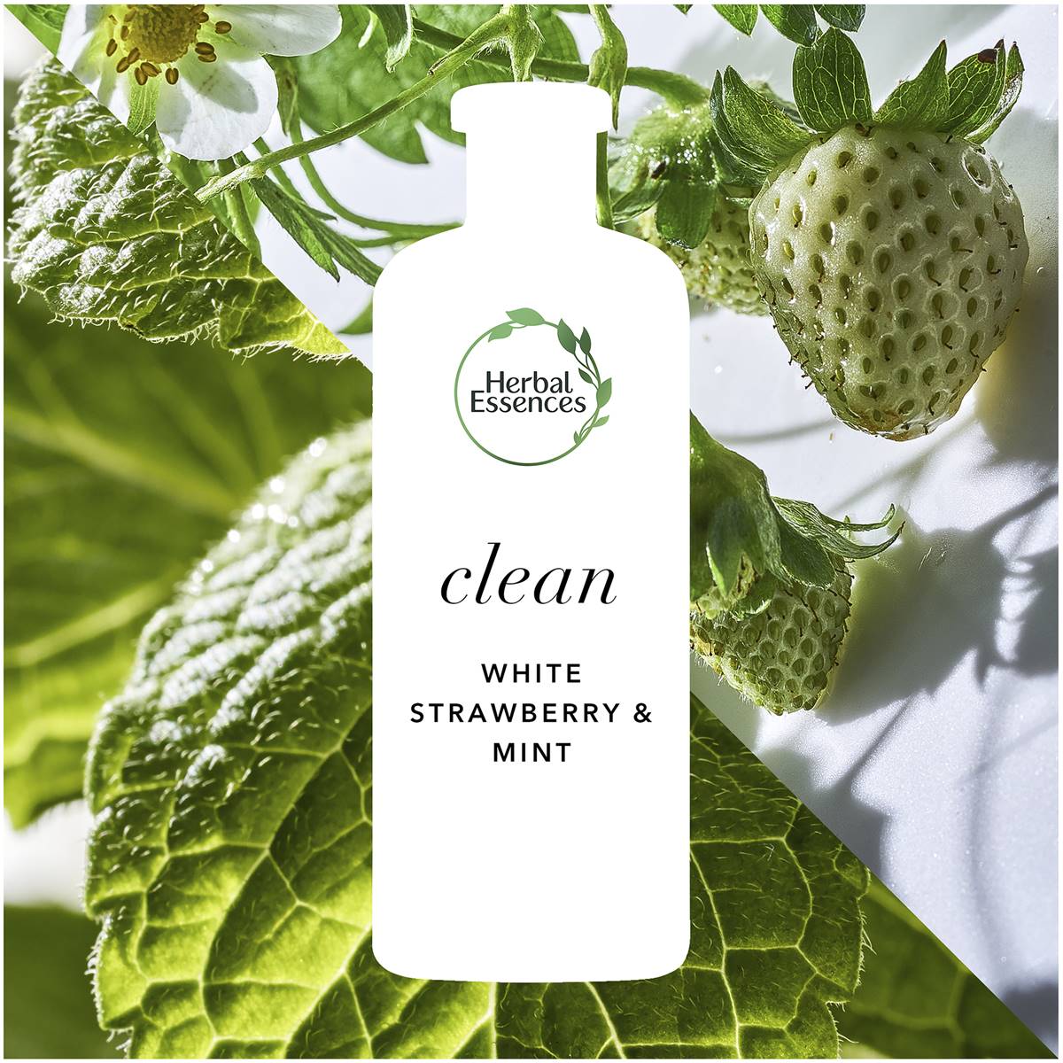 Herbal Essences Bio Renew White Strawberry & Mint Clean Shampoo 400ml