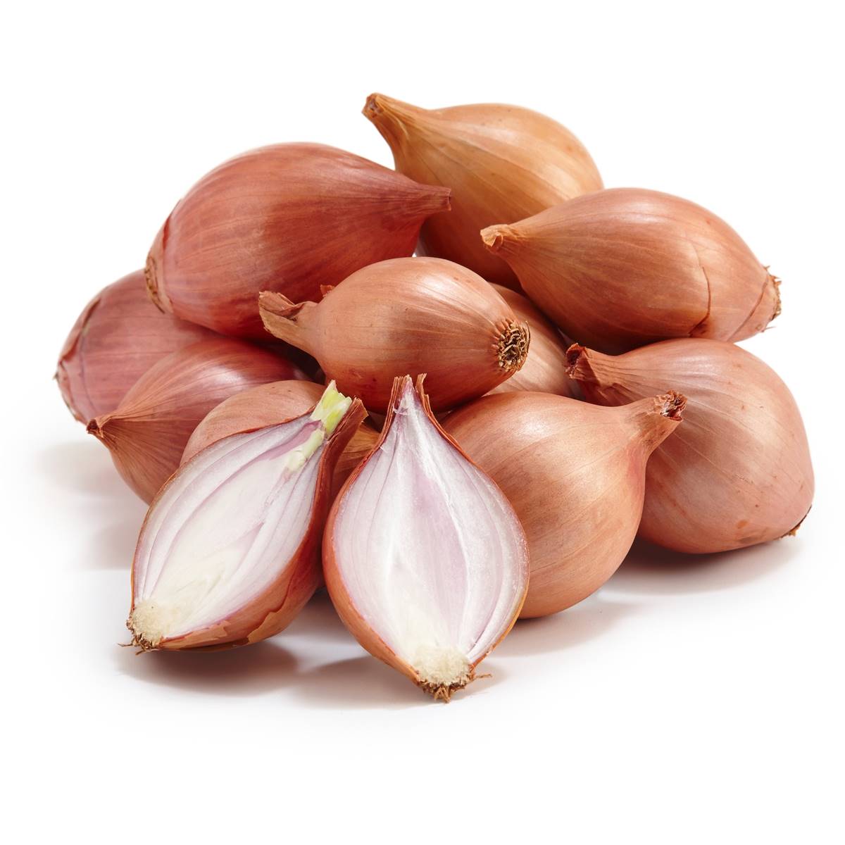 shallot