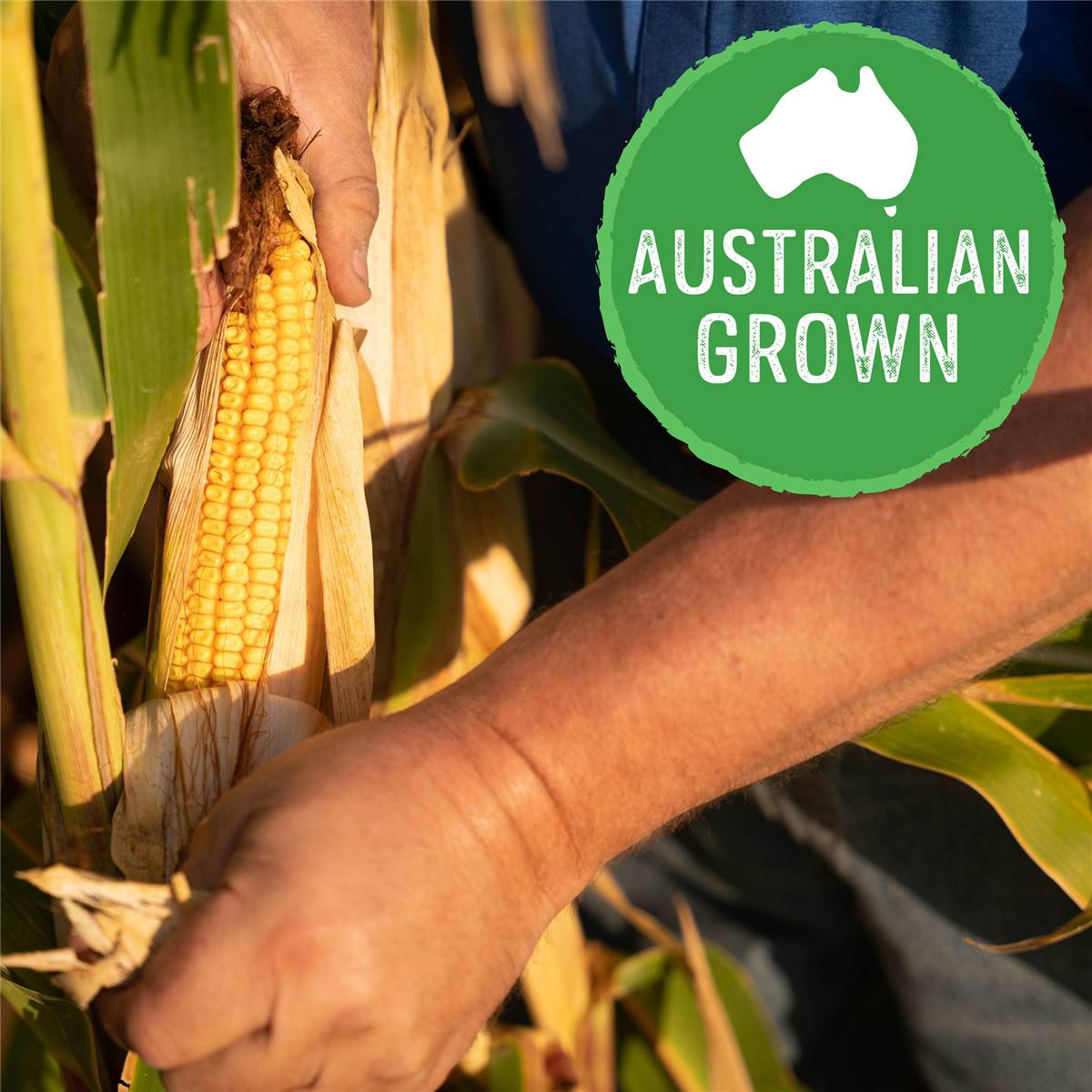 Edgell Corn Kernels Snack Packs Ready To Eat 125g X 4 Pack Woolworths