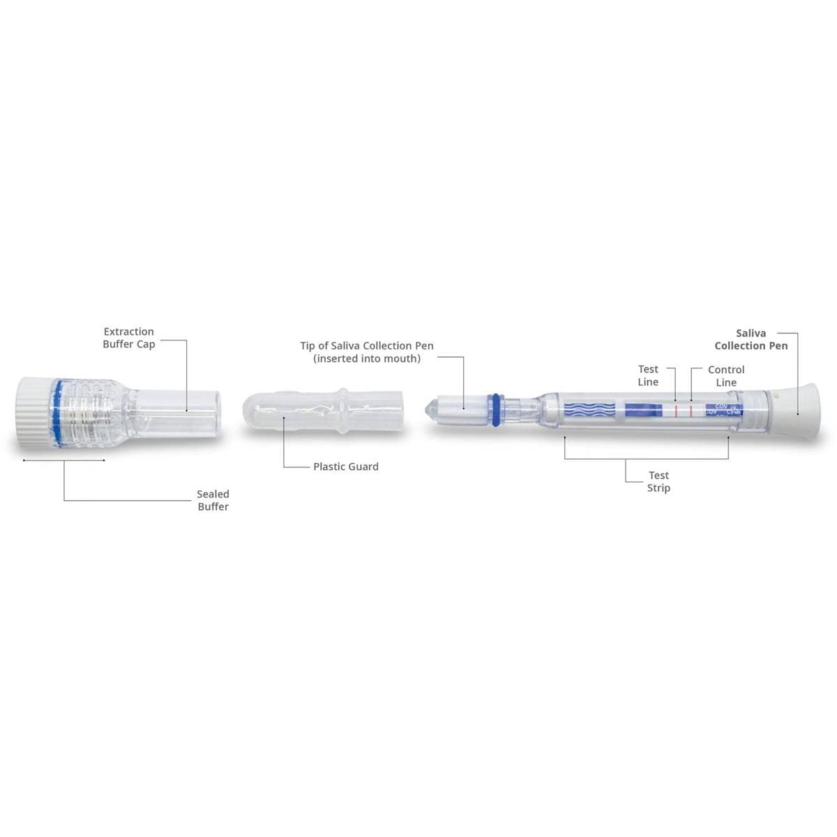Covid19 Antigen Saliva Test Kit 2 Pack Woolworths