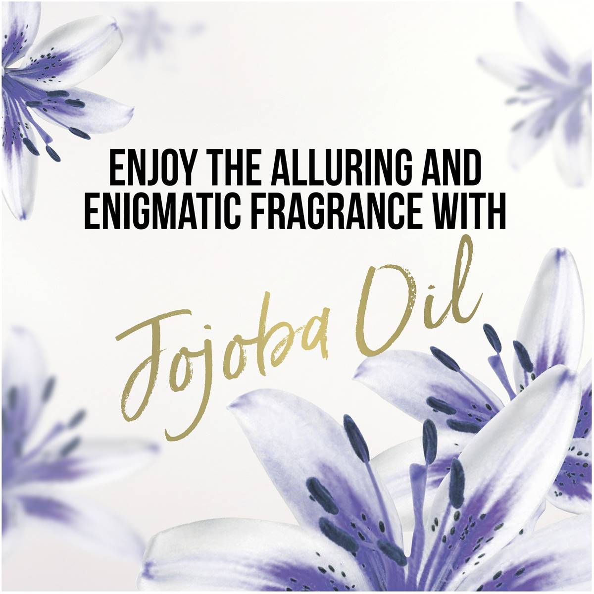 Pantene Nutrient Blends Illuminating Colour Care Jojoba Oil Shampoo