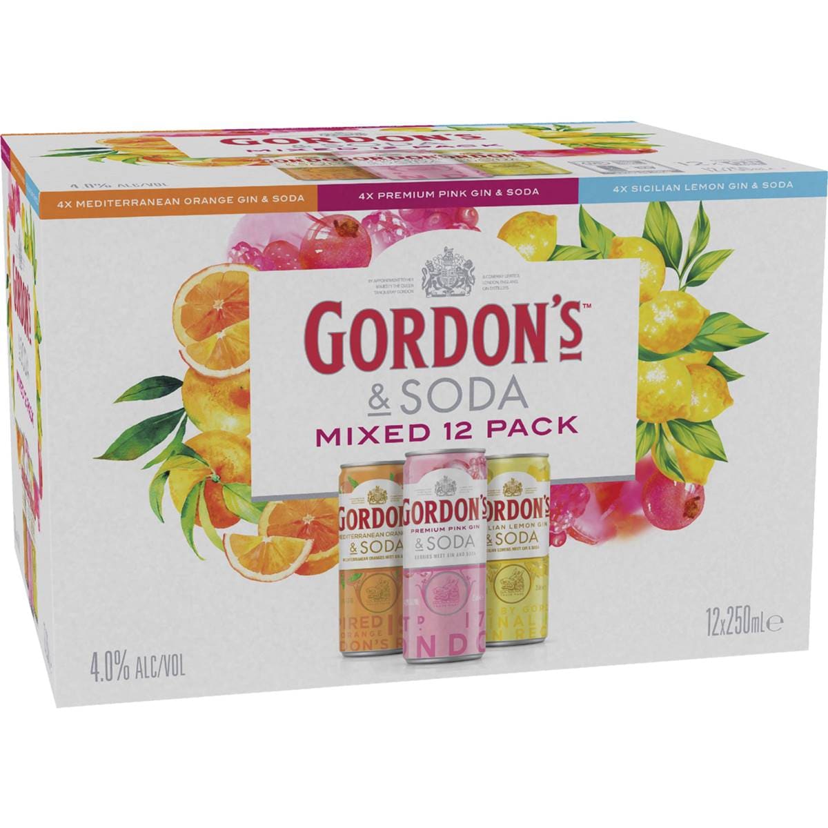 Gordon's Gin & Soda Mixed Pack Cans 250ml X 12 Pack Woolworths