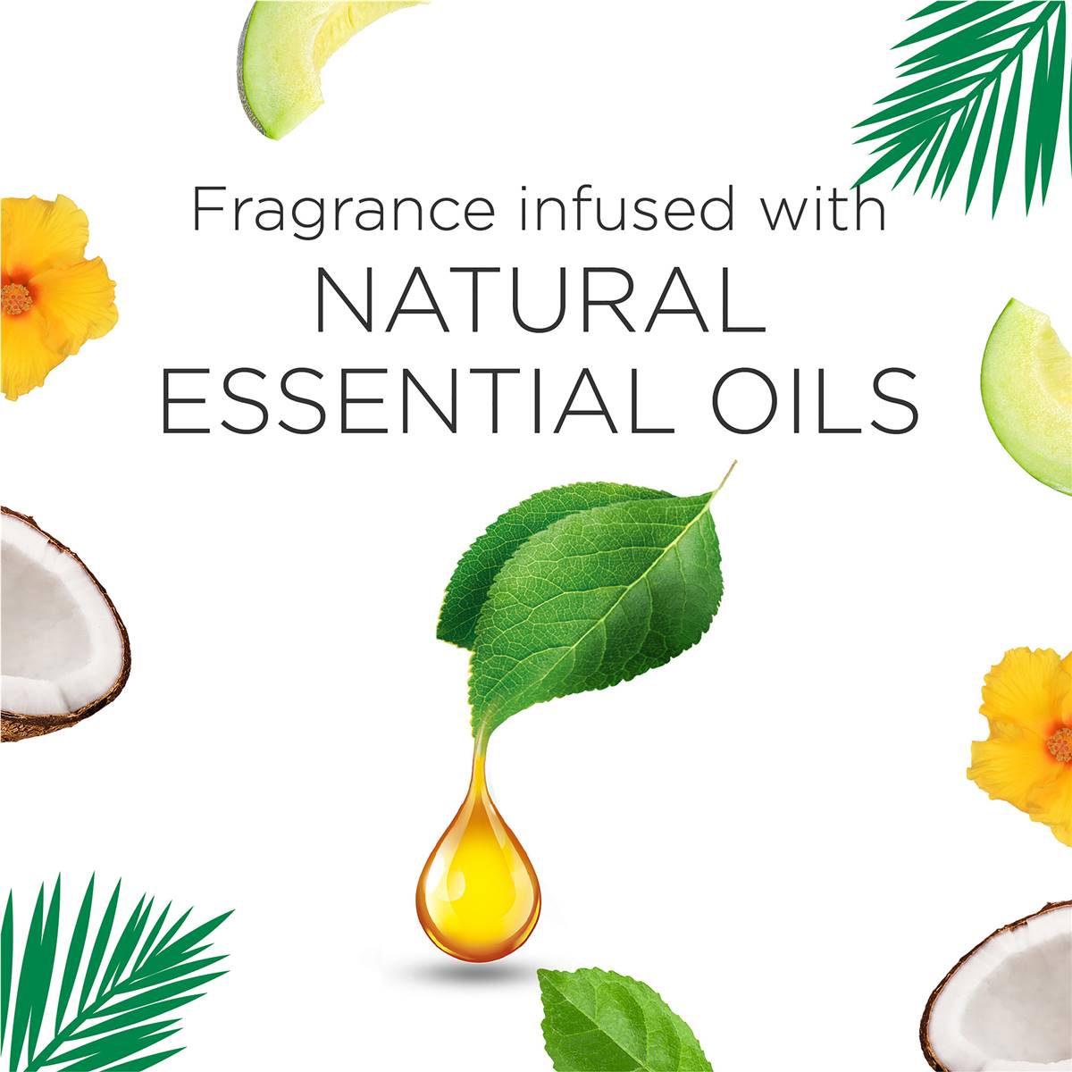 Air Wick Pure Tropical Great Barrier Reef Plugin Diffuser 19ml Woolworths