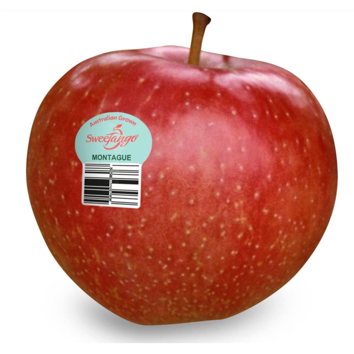 Sweetango Apples Each Woolworths