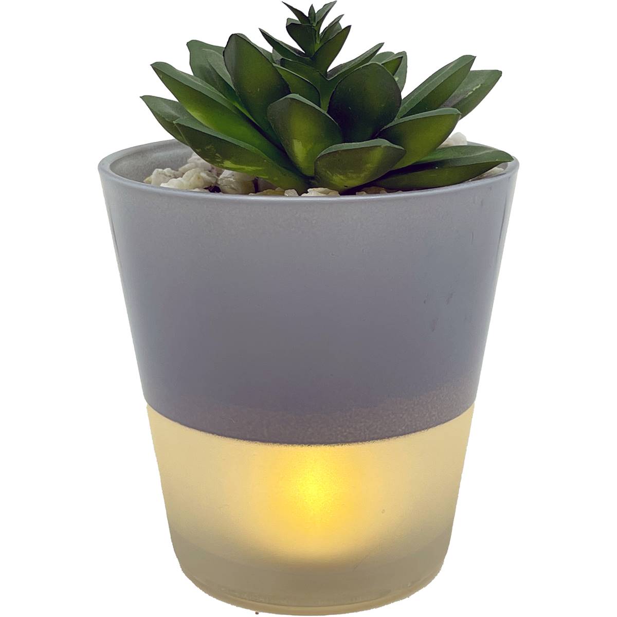 Gardman Led Glass Pot With Green Plant - Blue