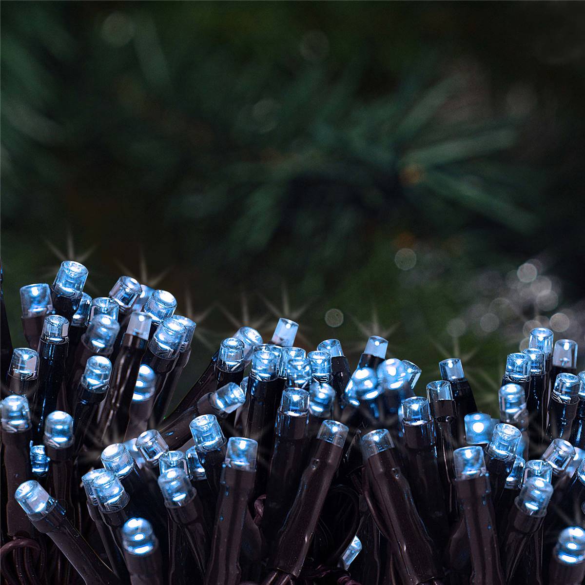 Christmas Solar Led 24.9m Fairy Lights Blue Each Woolworths