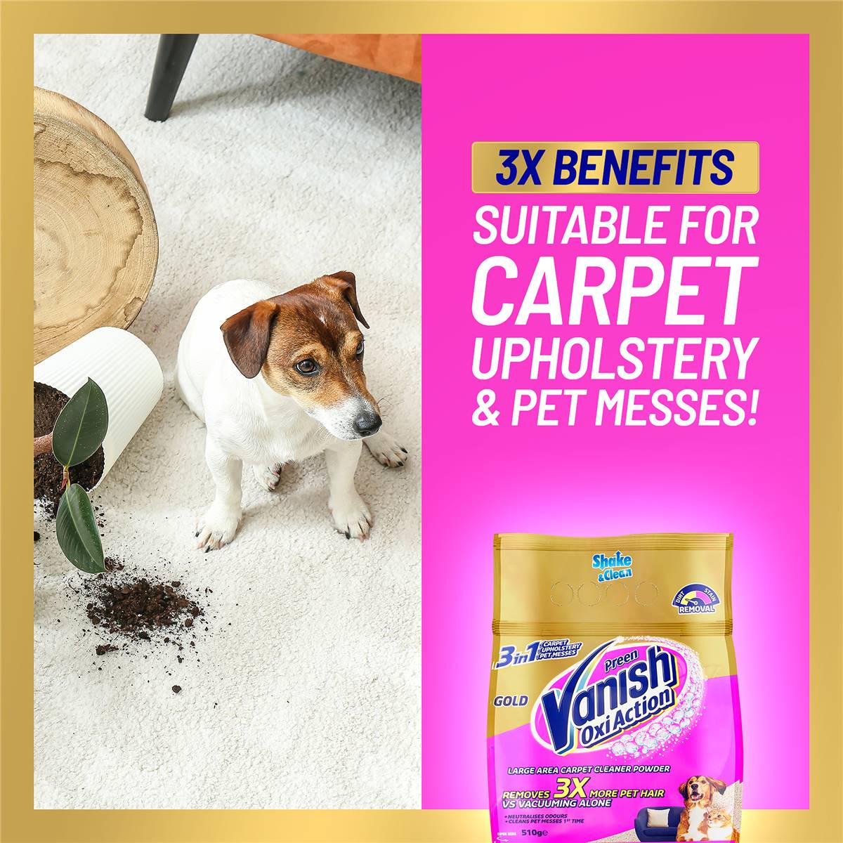 Vanish Preen Gold 3 In 1 Carpet Cleaning Powder 510g Woolworths