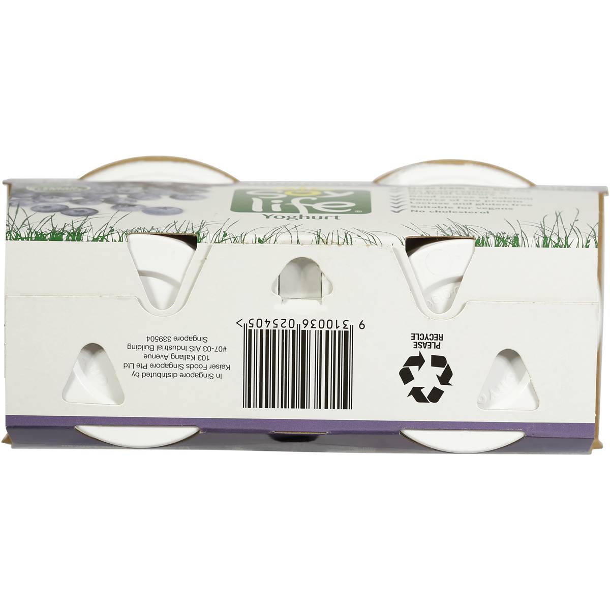 Soy Life Blueberry Yoghurt 2x175g Woolworths