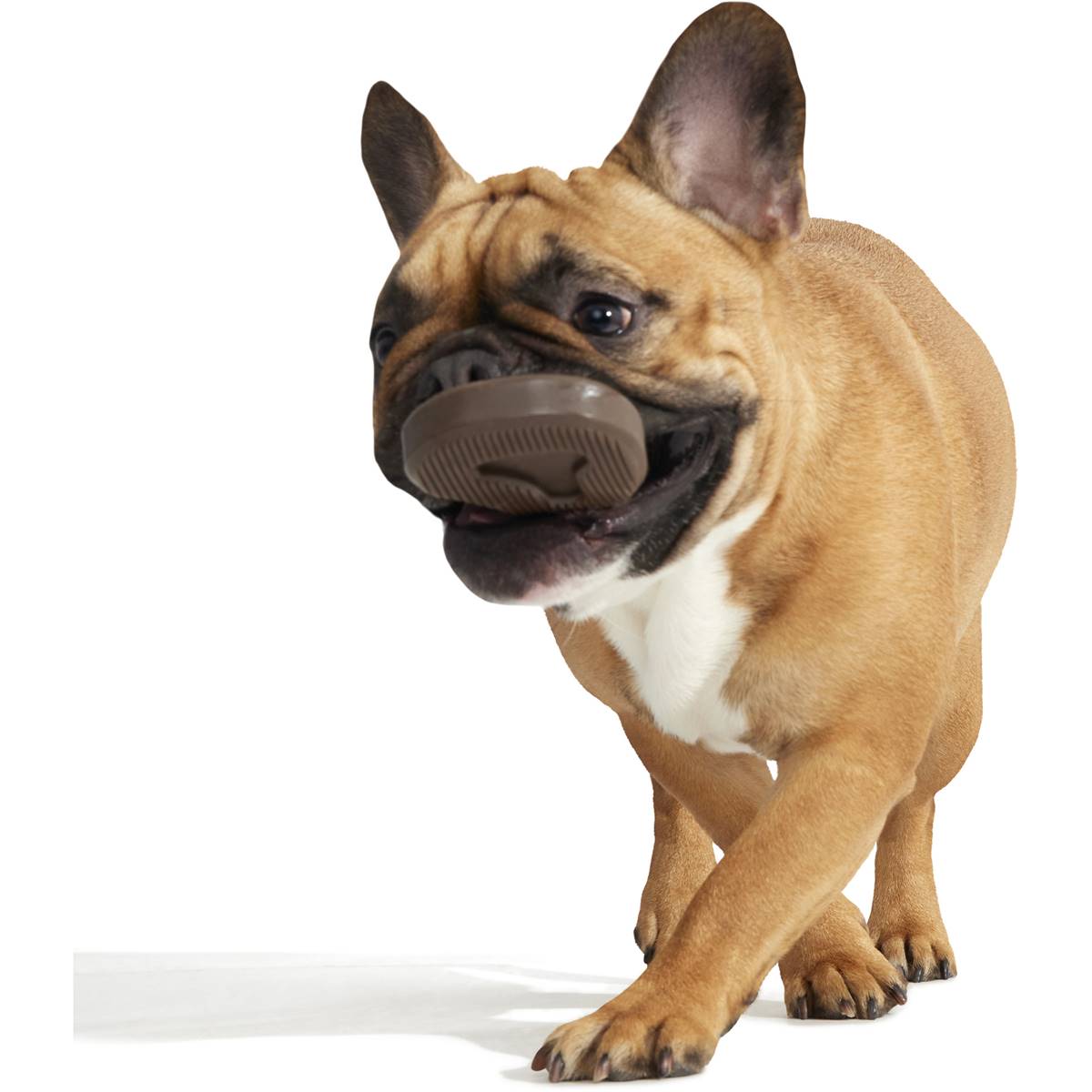 Bark Well Done Steak Dog Toy Each Woolworths