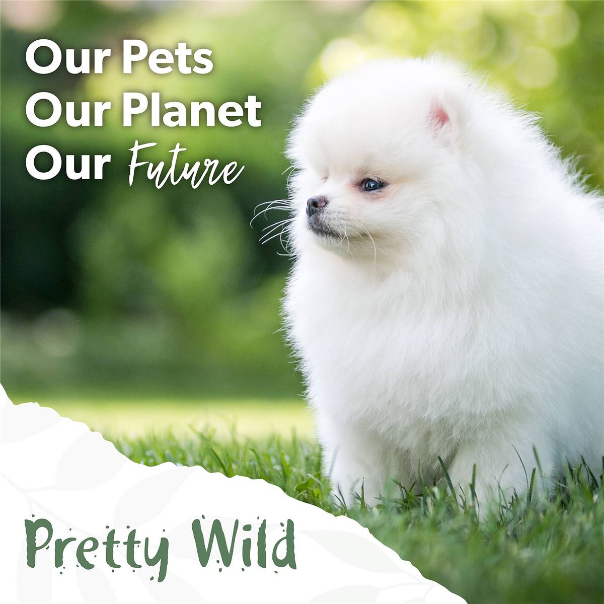 Pretty Wild Organic Pet Wipes 40pk Woolworths