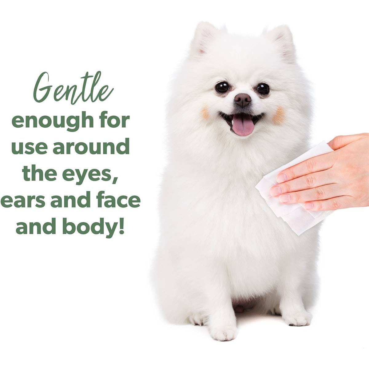 Pretty Wild Organic Pet Wipes 40pk Woolworths