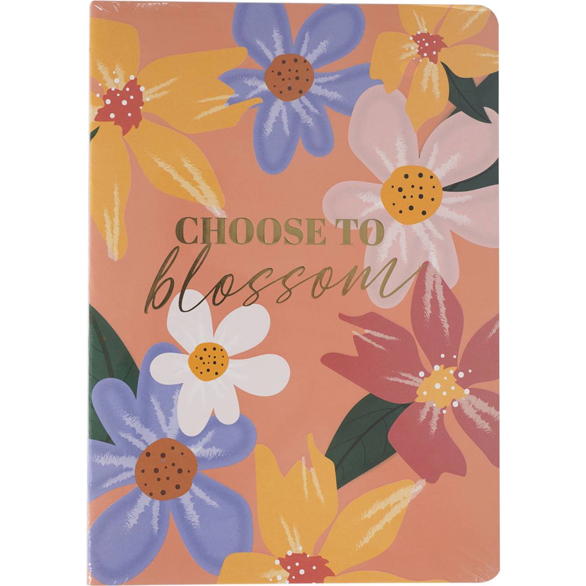 Woolworths Notebook Set 3 Pack Woolworths