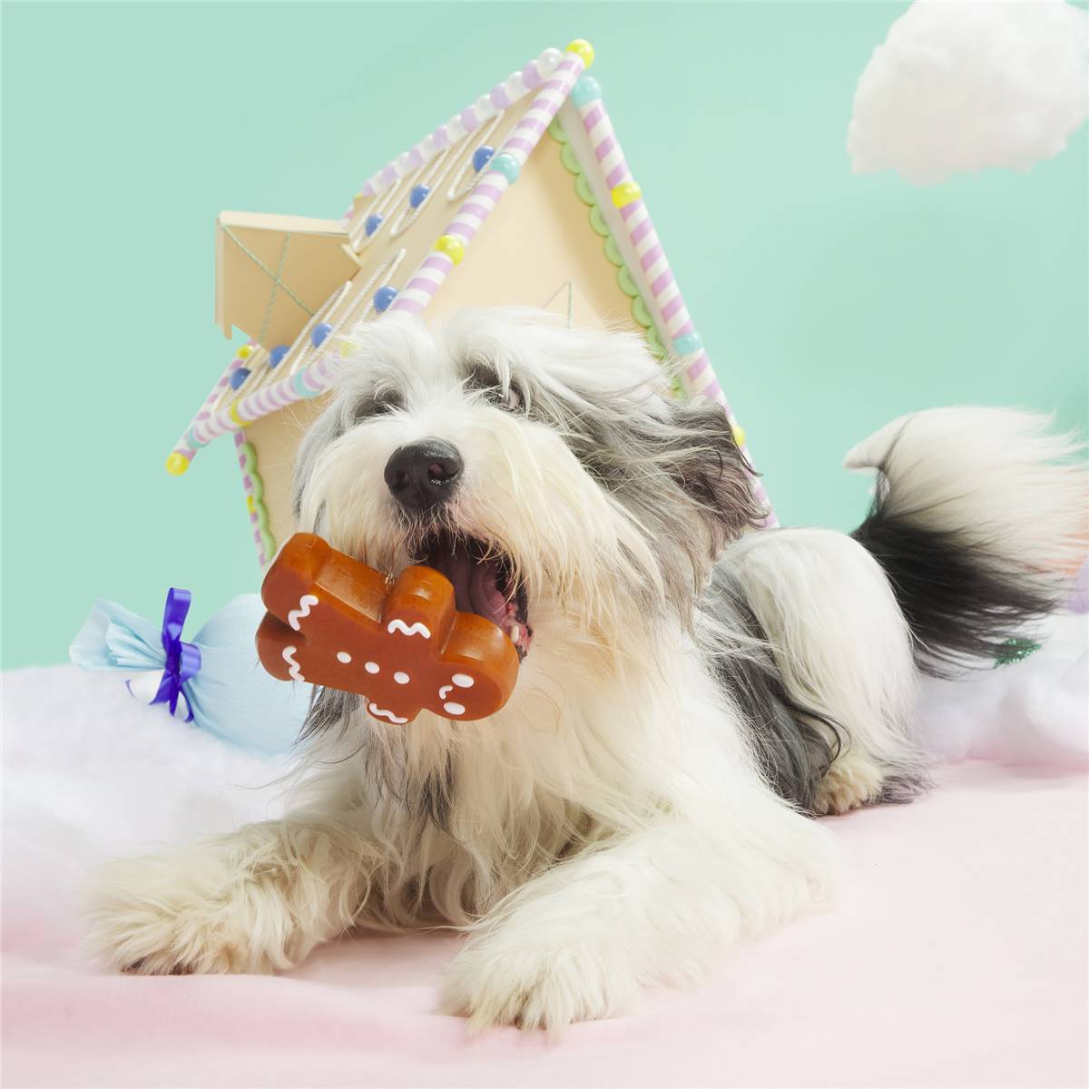 Bark Tough Cookie Dog Toy Each Woolworths