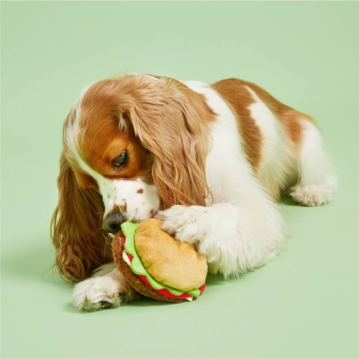 Bark Beef Burger Dog Toy Each Woolworths