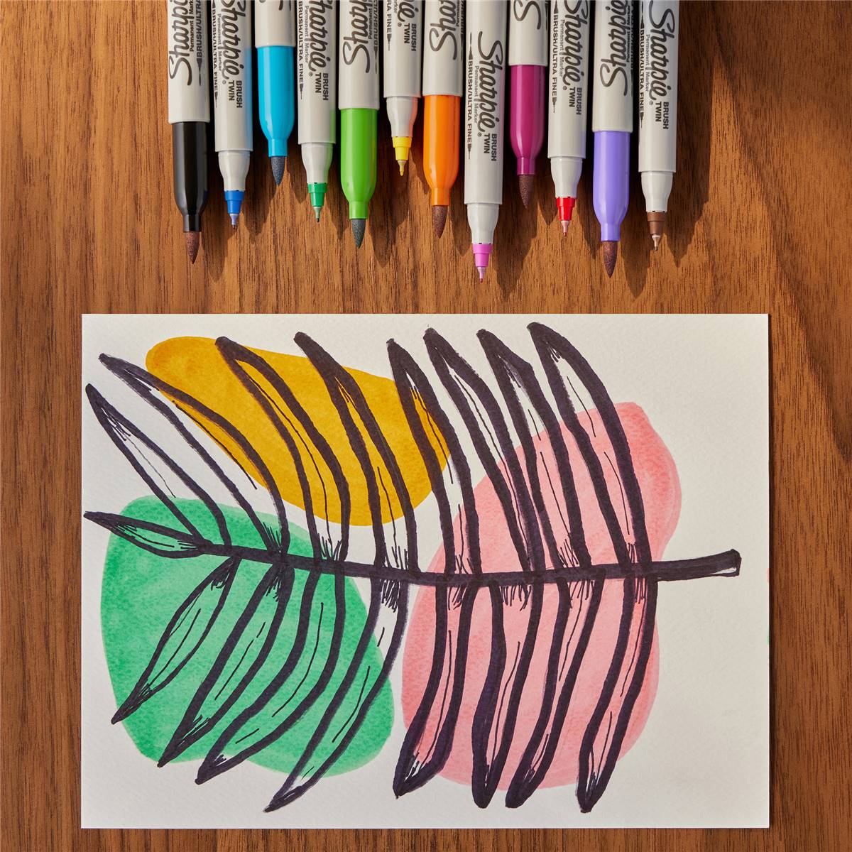 thumbnail image 2 of Sharpie Brush Tip Permanent Markers - 12-Pack 2 of 5
