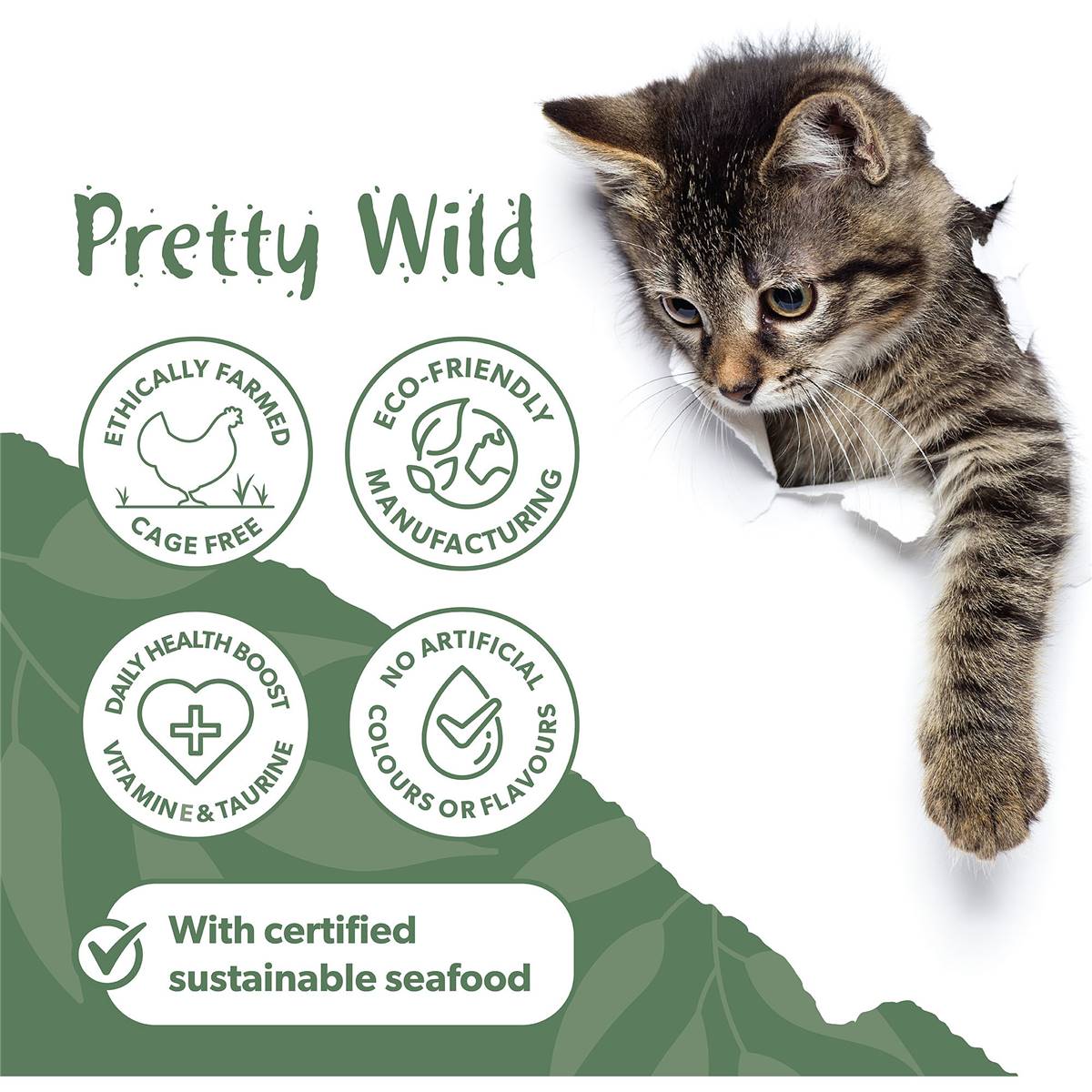 Pretty Wild Cat Food Chicken Salmon Shredded 80g | Woolworths