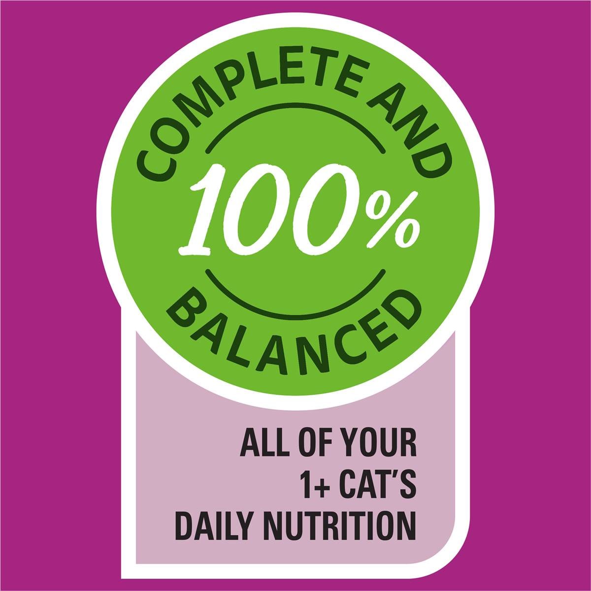 Whiskas Adult 1 + Years Wet Cat Food Mixed Favourites In Jelly 85g X 24 Pack Woolworths