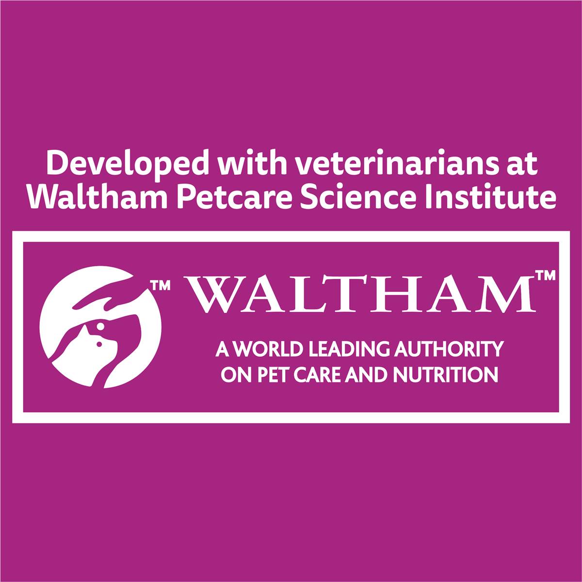 Whiskas Adult 1 + Years Wet Cat Food Mixed Favourites In Jelly 85g X 24 Pack Woolworths