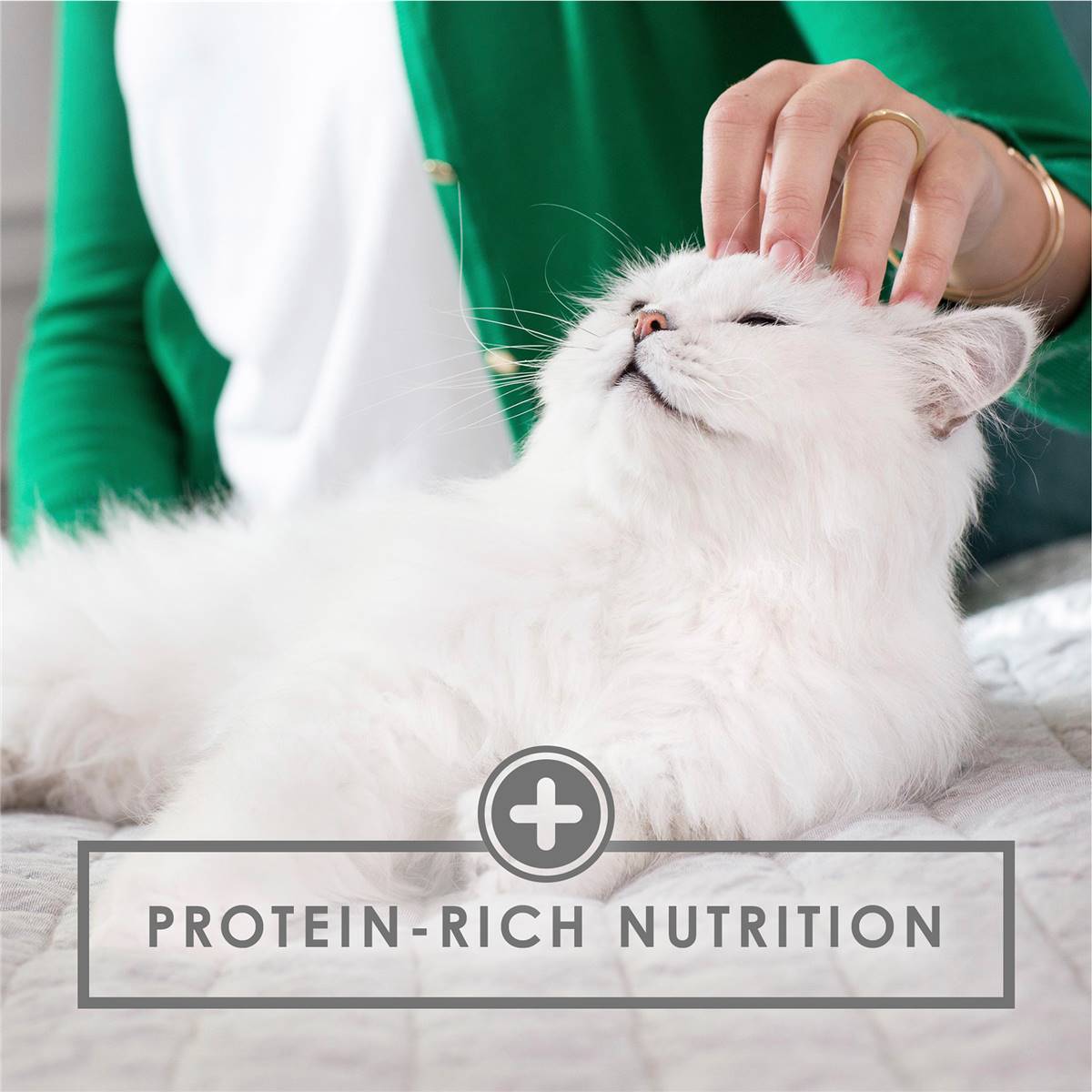 fancy-feast-adult-classic-chicken-feast-chunky-wet-cat-food-85g