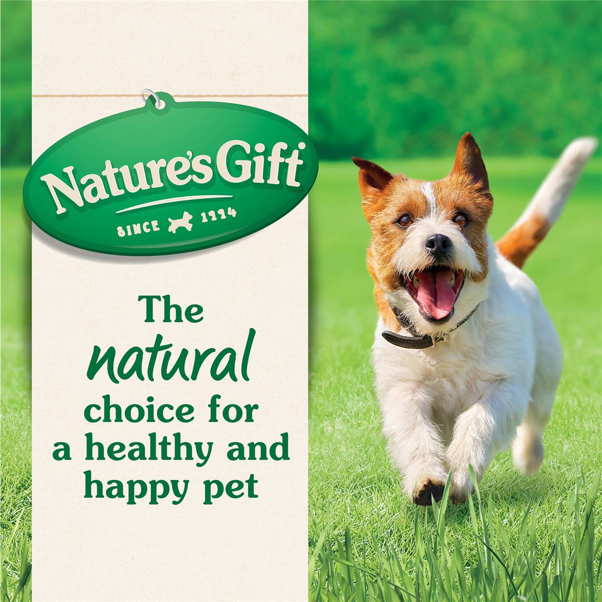 Nature's Gift Adult All Breed Dog Food With Beef 2.5kg Woolworths