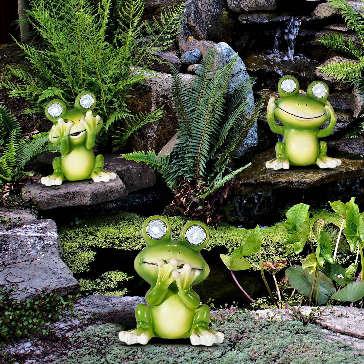 Mirabella Solar Frogs No Hear Each | Woolworths