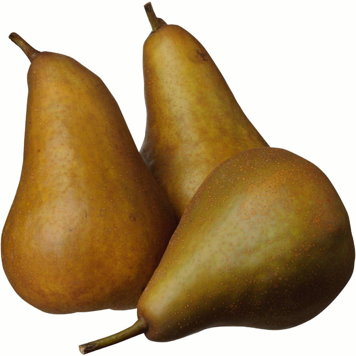  Organic Pear Beurre Bosc 