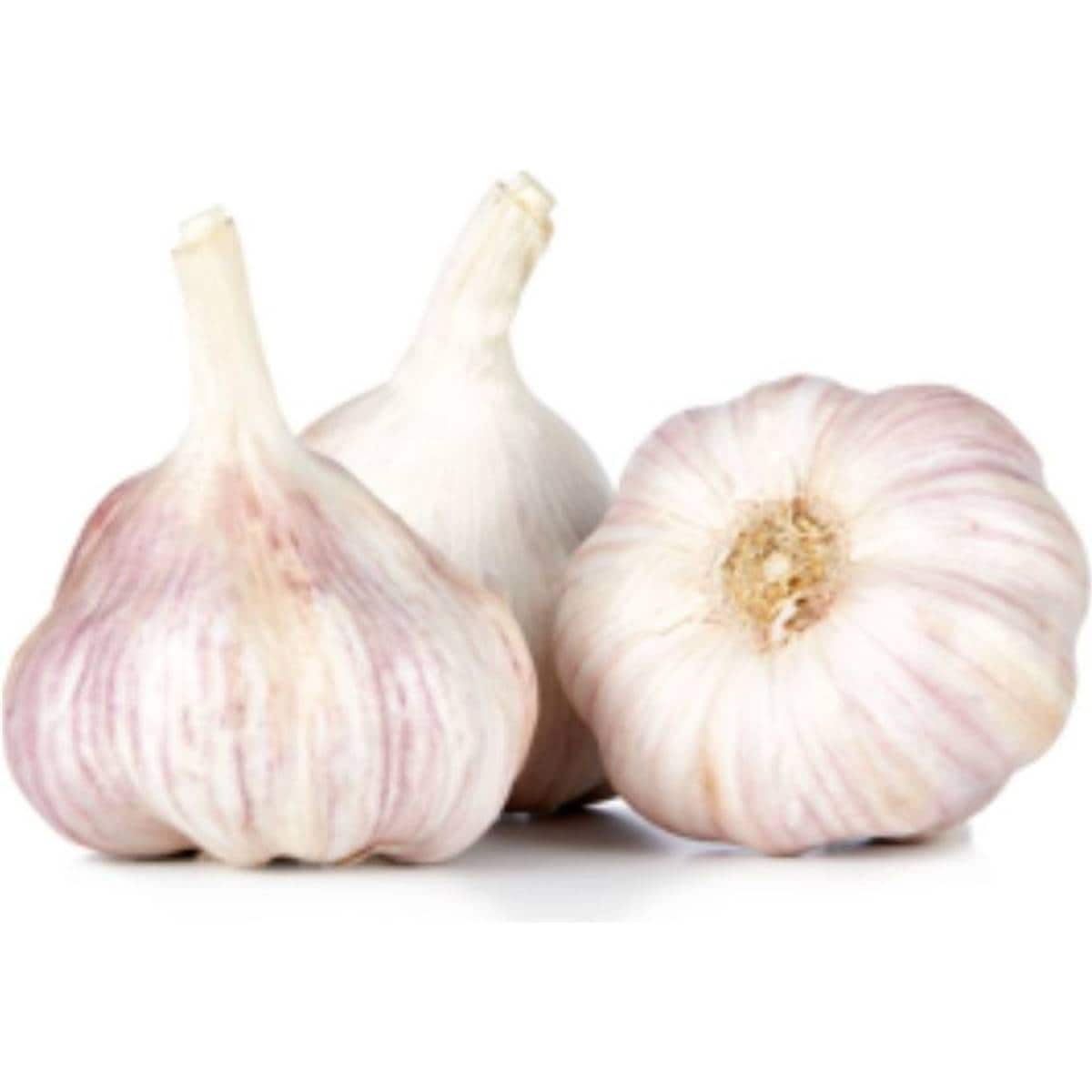 Loose Garlic Imported Each Woolworths