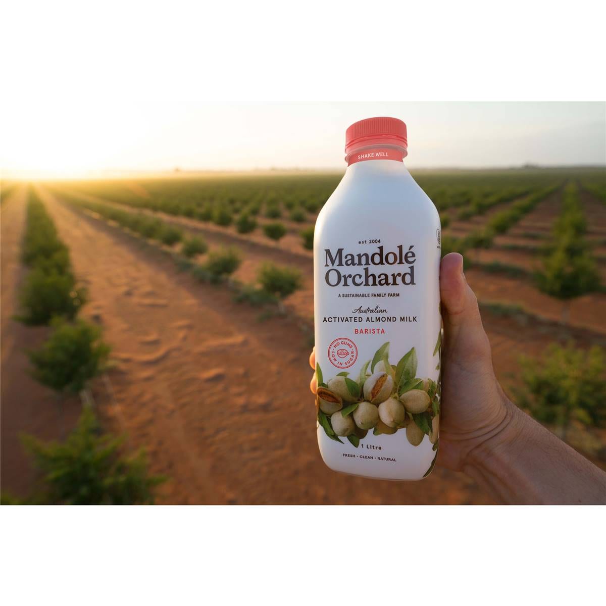 Mandole Orchard Barista Activated Almond Milk 1l Woolworths
