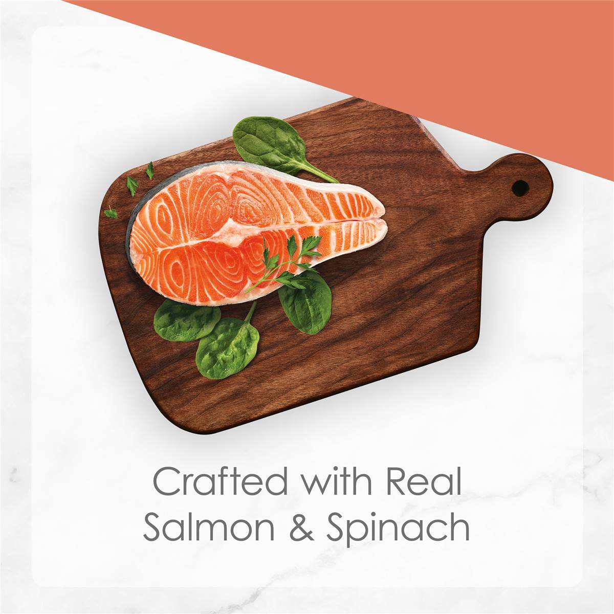 Fancy Feast Medleys Salmon Florentine Delicate Sauce Wet Cat Food 85g