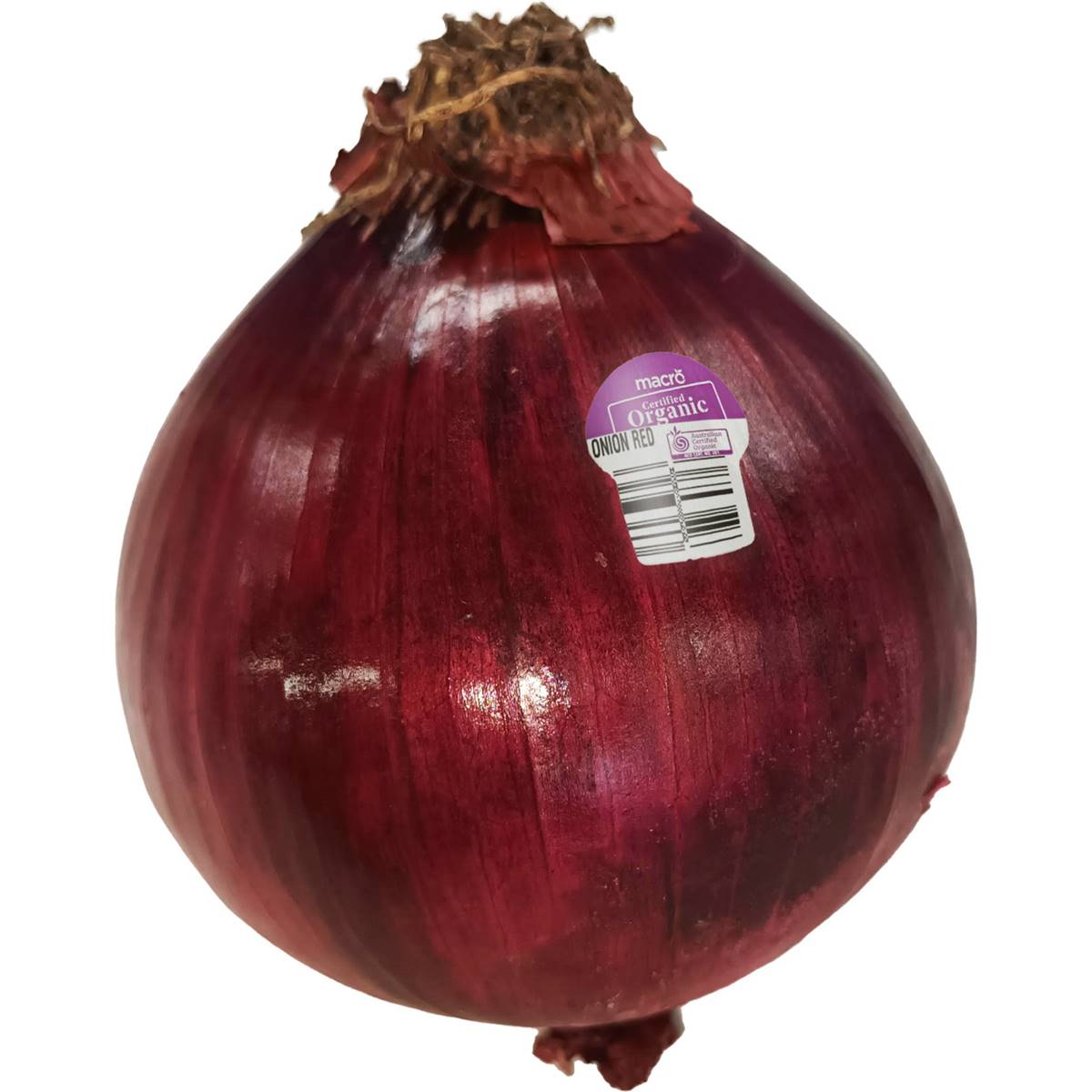  Organic Red Onion 